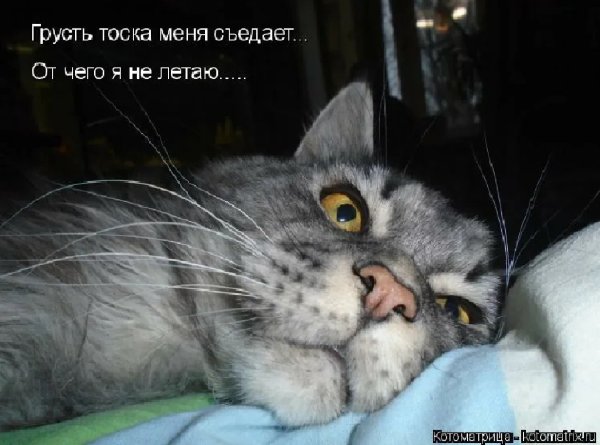 Мне хочется плакать а я веселюсь я прячу за смехом смертельную грусть