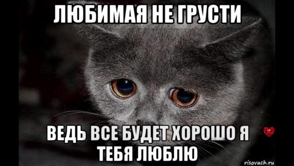Смешные фразы для поднятия настроения