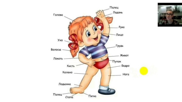 Тема человек части тела