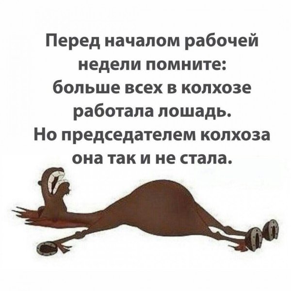 Афоризмы про рабочую неделю