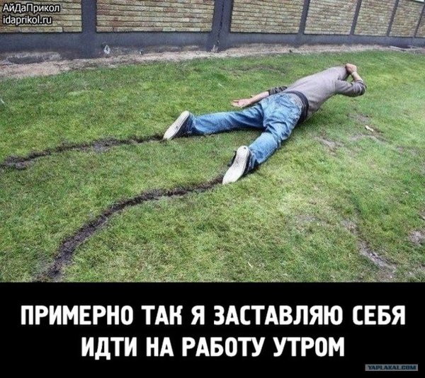 Картинка как я иду на работу