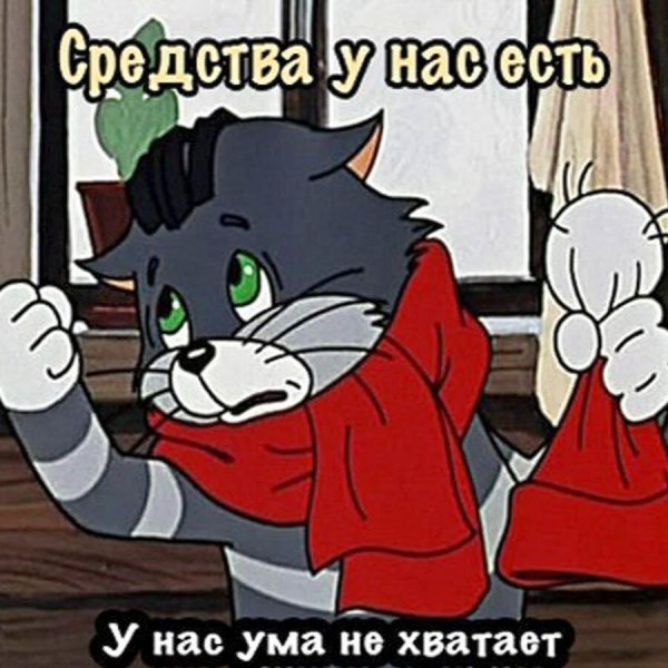 У нас ума не хватает Матроскин