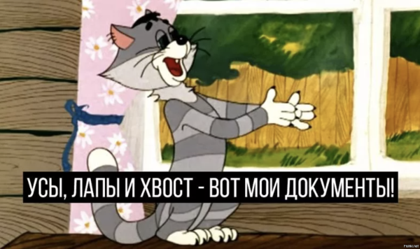 Усы лапы и хвост вот Мои документы