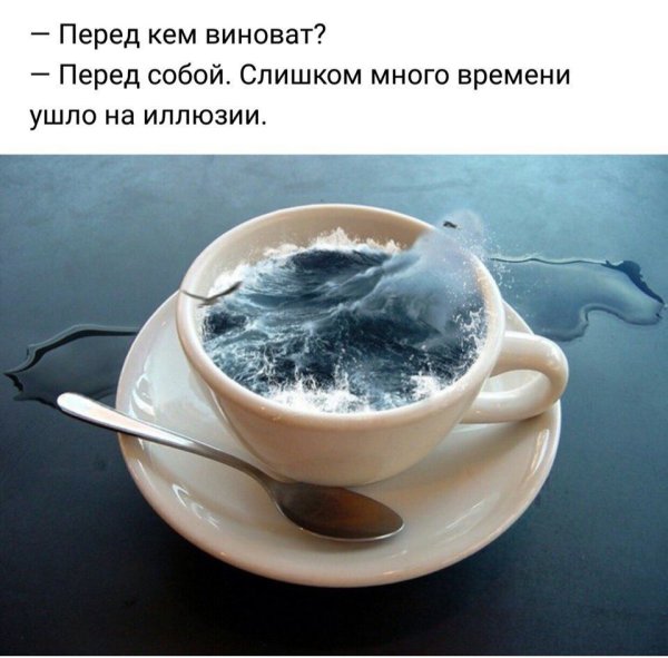 Море в чашке