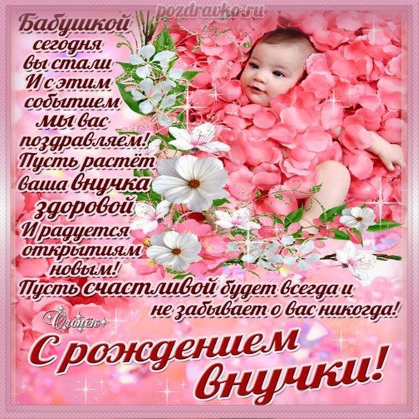Любимые внуки надпись
