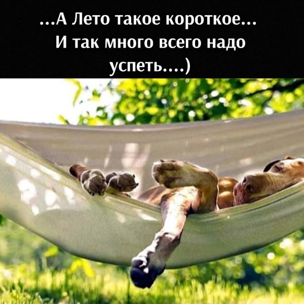 Скоро в отпуск
