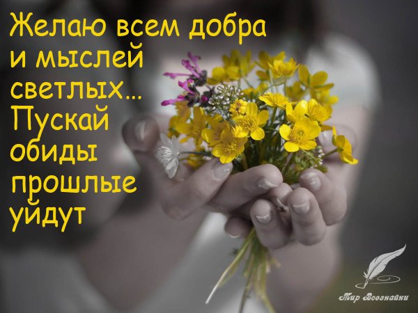 Светлого дня добрых мыслей