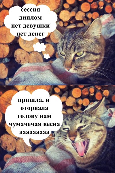 Пришла Чумачечая Весна