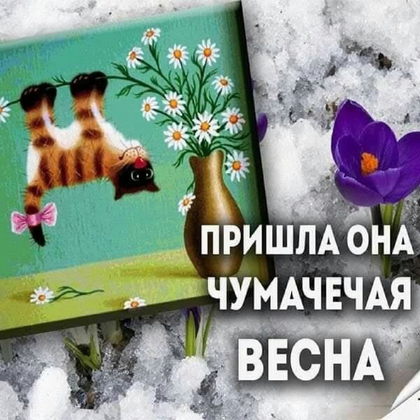 Весёлые поздравления с 1 марта