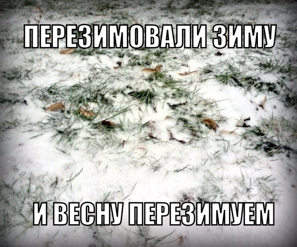 Снег весной юмор