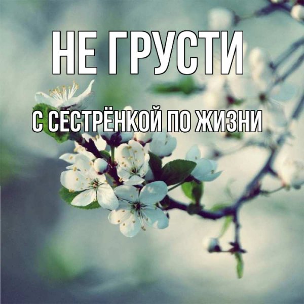 Жасмин имя
