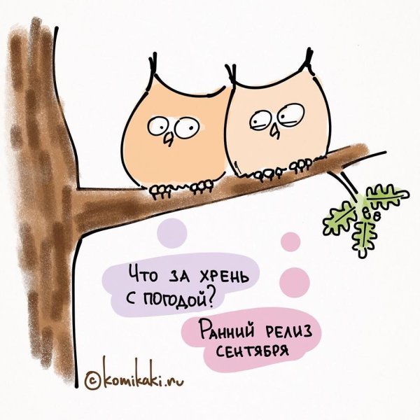Милые цитаты