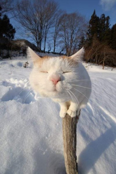 Скоро Весна