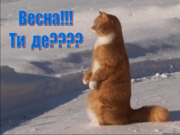 Весна ты где