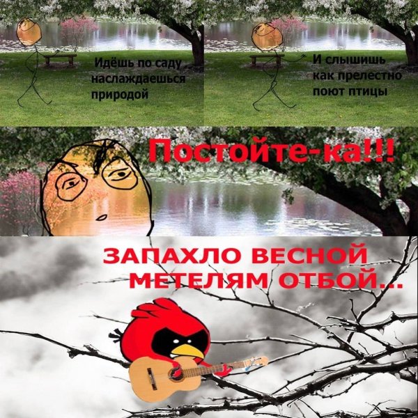 Весна птички поют прикол