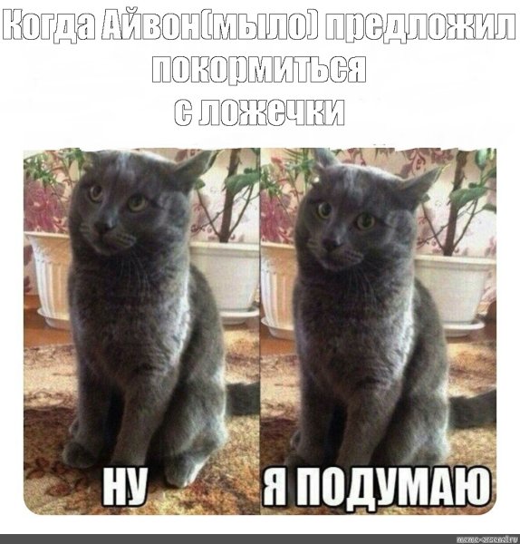 Ну я подумаю кот