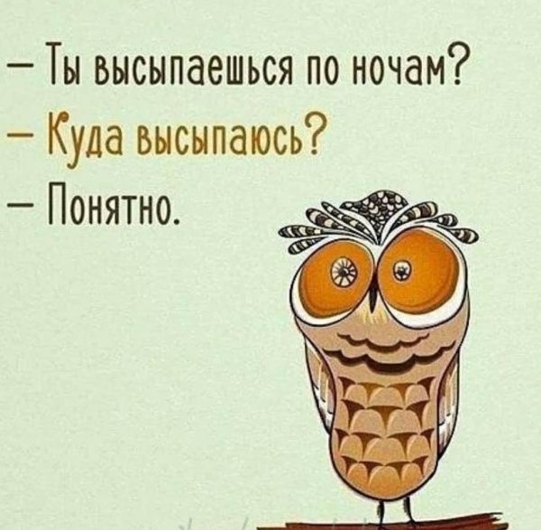 Ты высыпаешься куда высыпаюсь