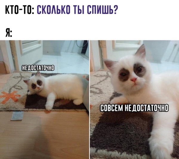Куда высыпаюсь