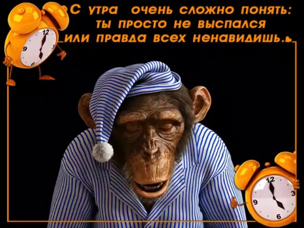 Доброе утро невыспавшиеся люди