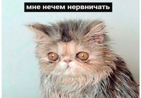 Не выспался