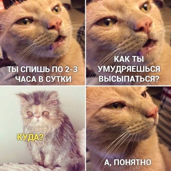 Как ты высыпаешься куда высыпаюсь