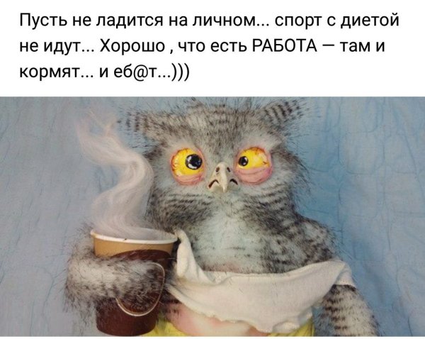 Растрепанная Сова