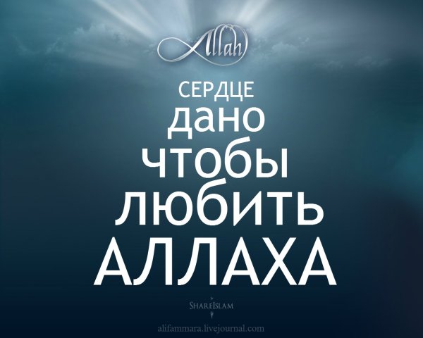 Любовь к Аллаху