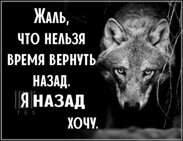 Обидно статусы