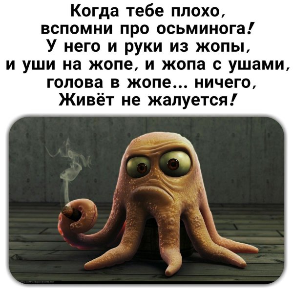 Живите сплетнями обо мне