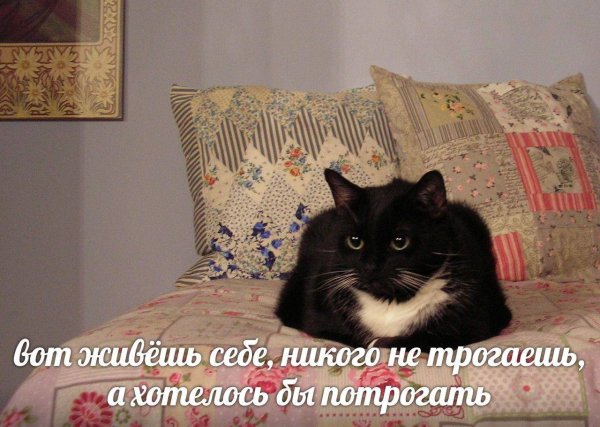 Знак don't Touch