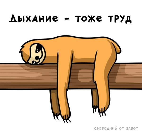 Устала отдыхай