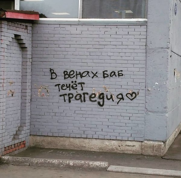 Прикольные коты с надписями