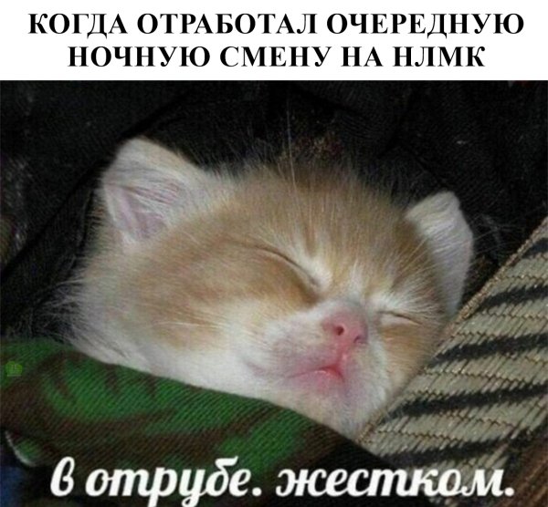Спящий котик с надписью