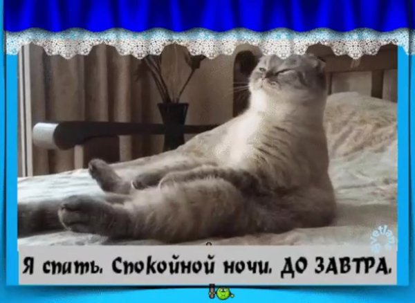 Пора спать спокойной ночи до завтра
