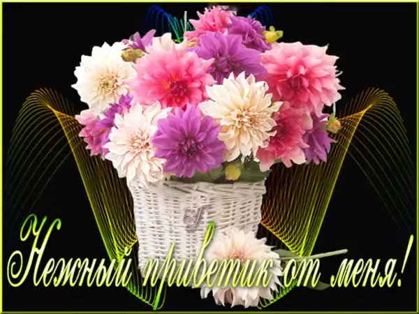 Открытки Вечерний приветик