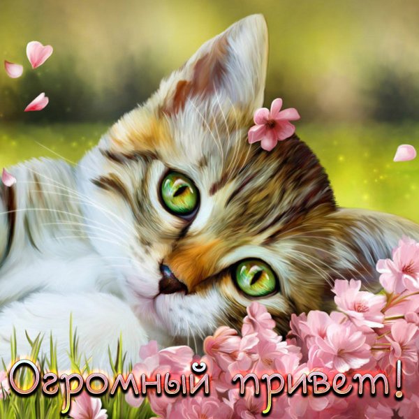 Приветик хорошего дня