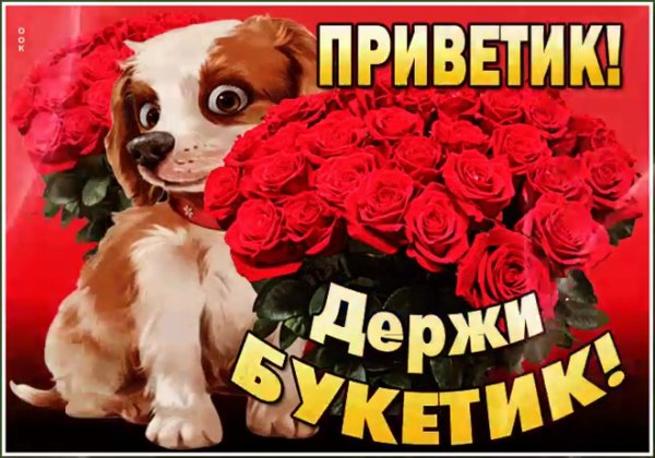 Большой привет от меня мужчине