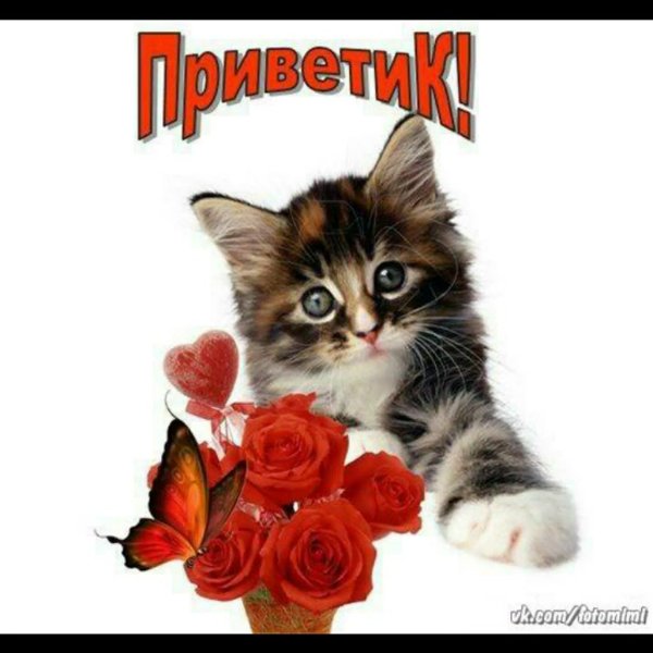 Не грусти улыбнись