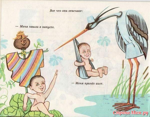 Детская книжка откуда я появился