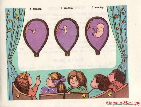 Откуда берутся дети