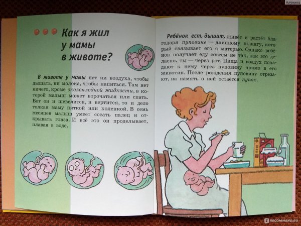 Как объяснить ребёнку откуда берутся дети