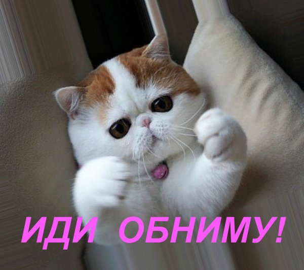Иди обниму картинки