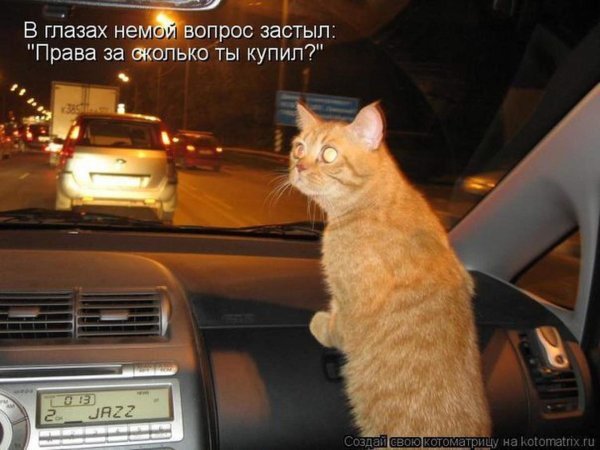 Я скучаю по тебе