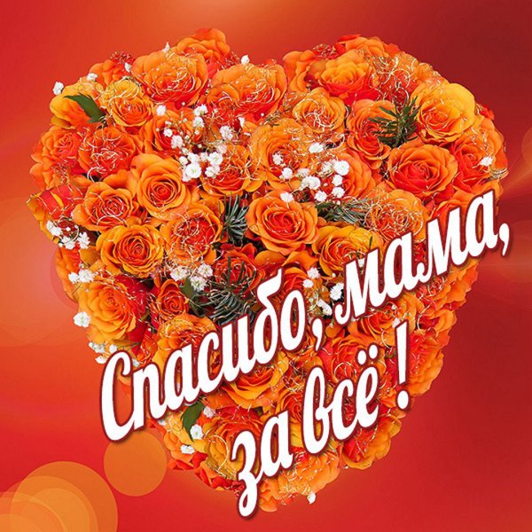 Благодарю --открытка с одной розой