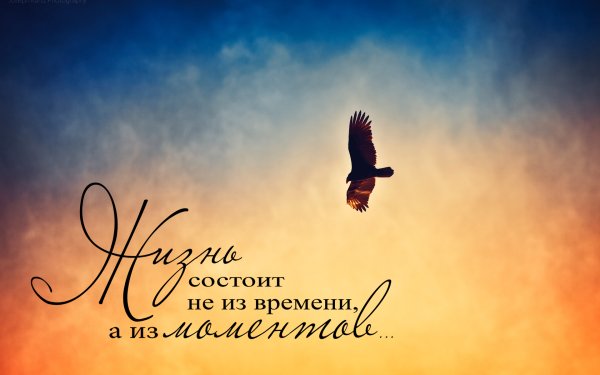 Красивые фразы