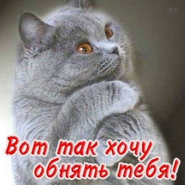Я скучаю картинки