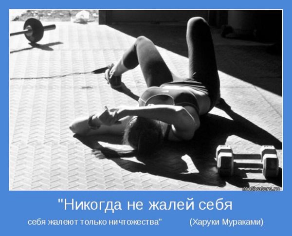 Не жалей себя себя жалеют только ничтожества