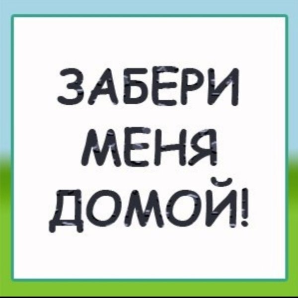 Очень хочу домой
