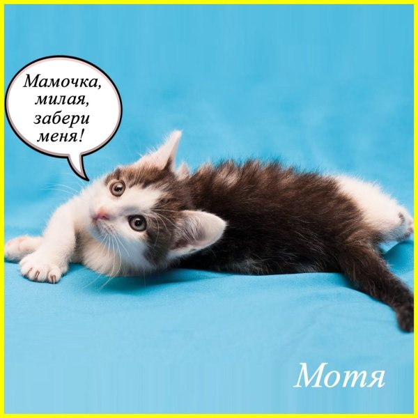 Милый забери меня из Рязани
