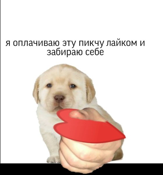Я забираю эту Пикчу